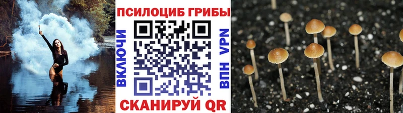 Псилоцибиновые грибы GOLDEN TEACHER  Выкса 