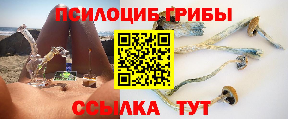 Галлюциногенные грибы мицелий  Вход с VPN  Выкса 