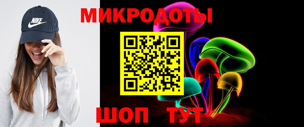Галлюциногенные грибы Psilocybe Выкса