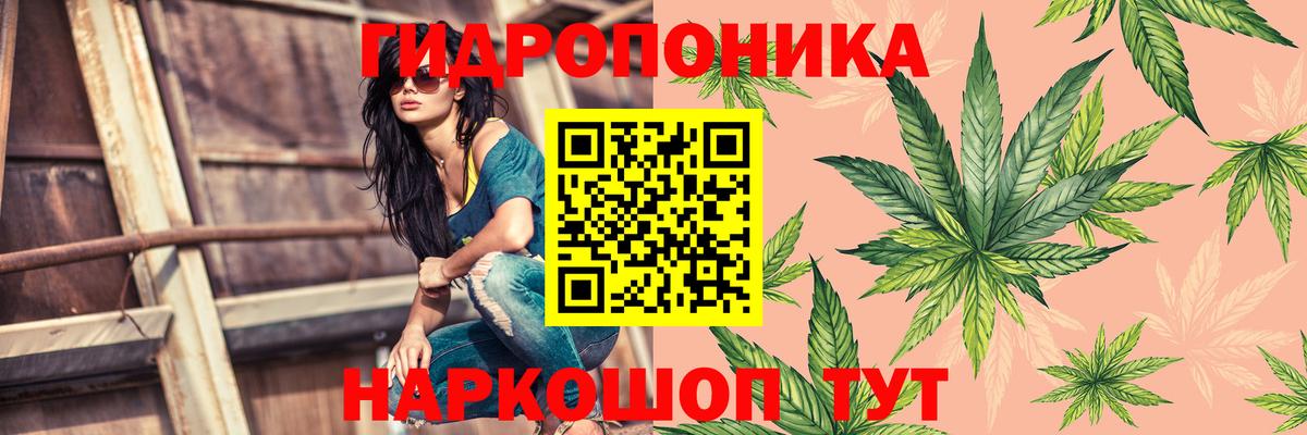 МАРИХУАНА Bruce Banner Выкса